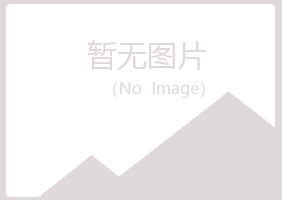 伊春带岭念波工程有限公司